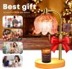 Fragrance Candle Warmer Lamp, Electric Candle Warmer with Timer & Dimmer, Mom Christmas Birthday Gifts for Women